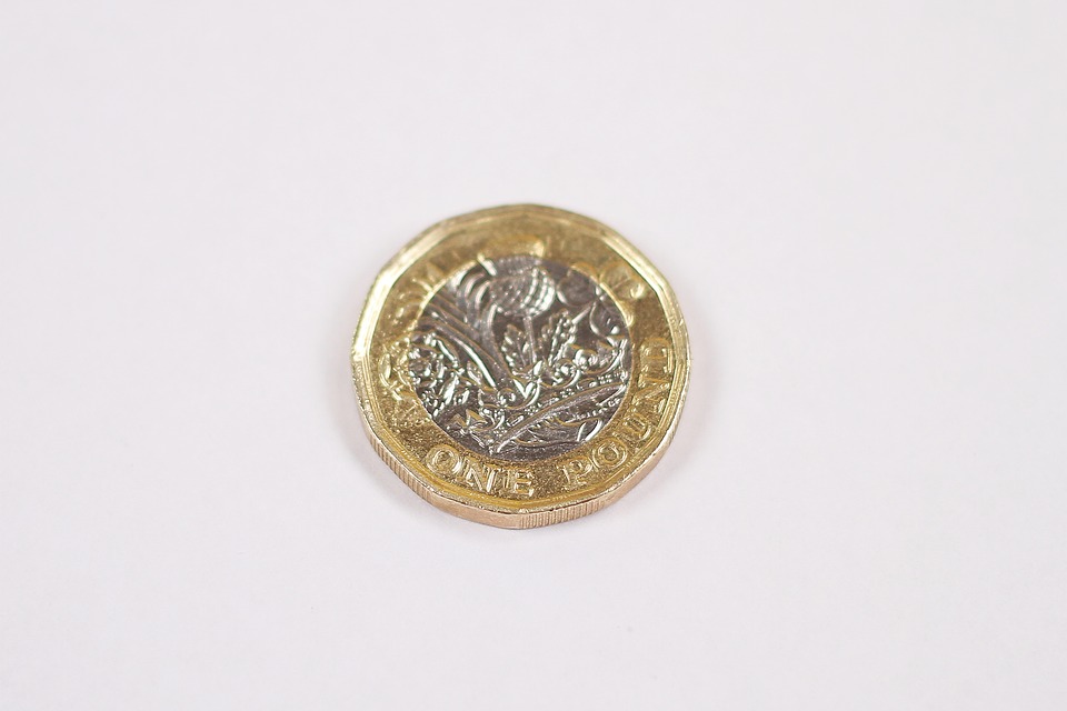 pound mince